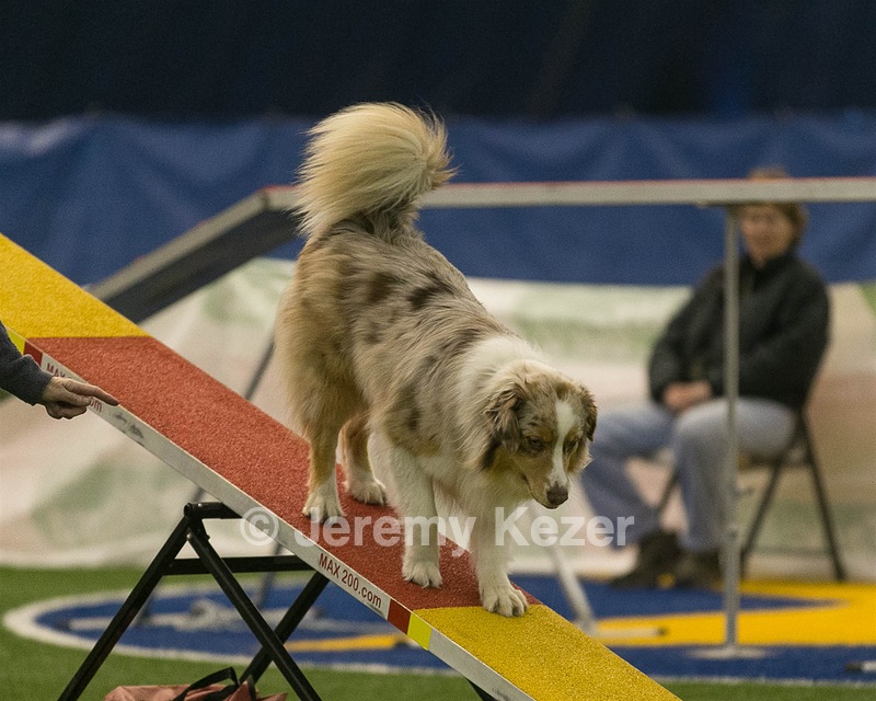 20150321-LEAP-0778.jpg