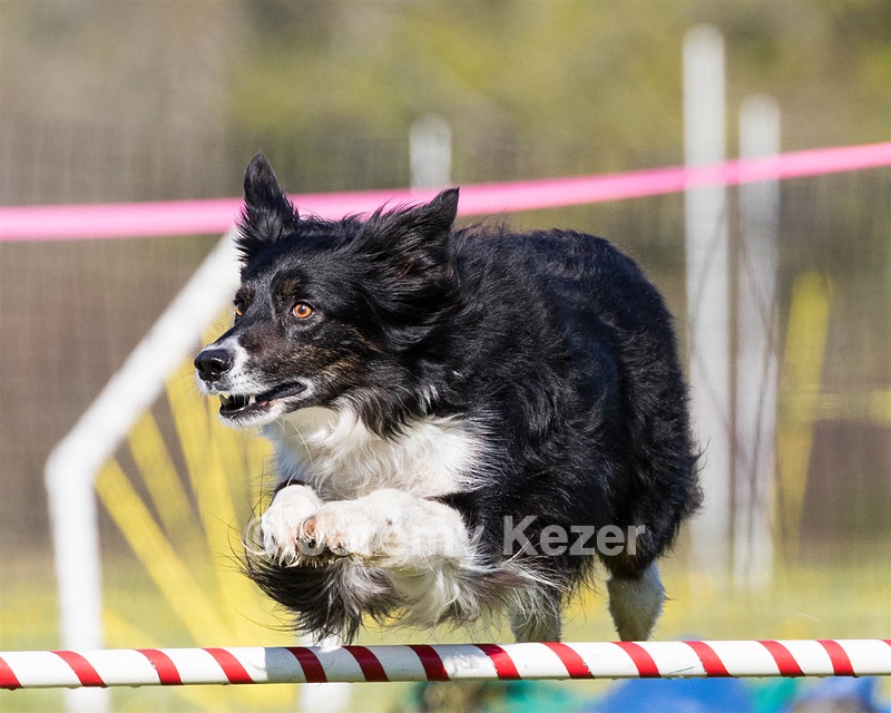 20160514-NEAT-0109.jpg