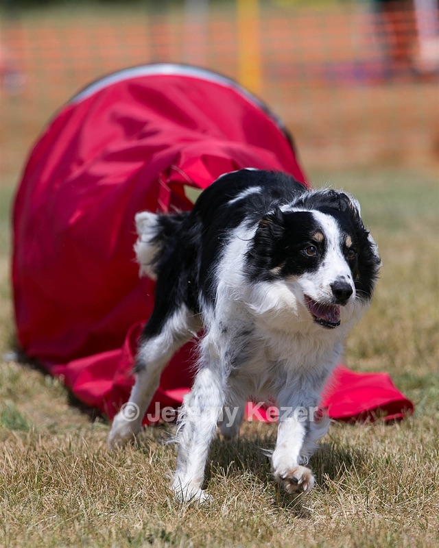 20150613-CCKC-0144.jpg
