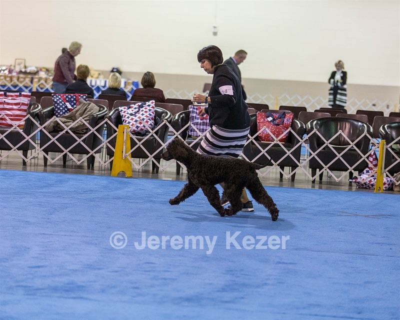 14 - Chantico's Super G O'Muddy Waters (Ghillie)