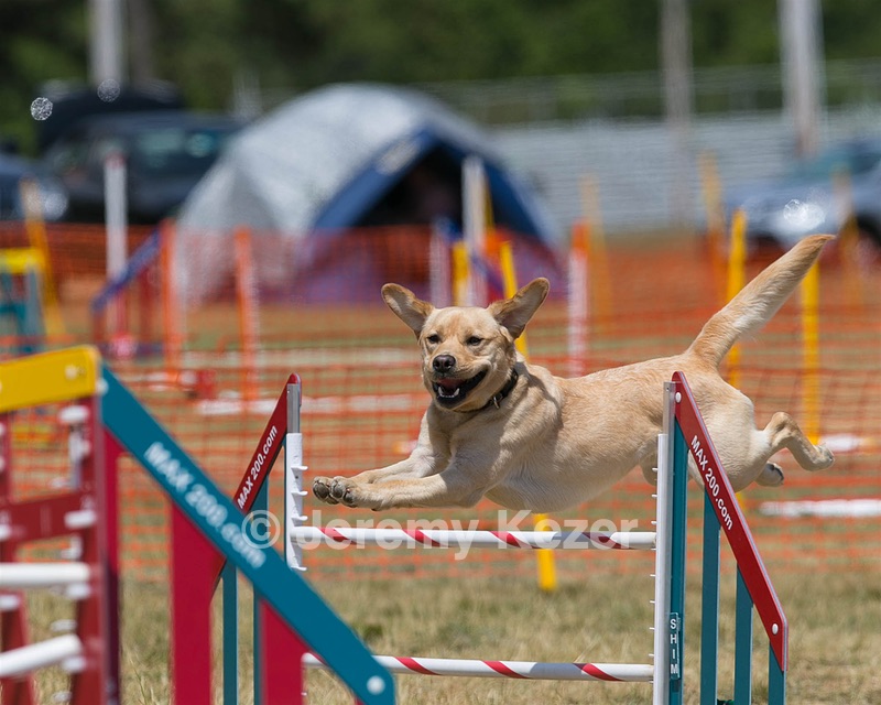 20150614-CCKC-1729.jpg