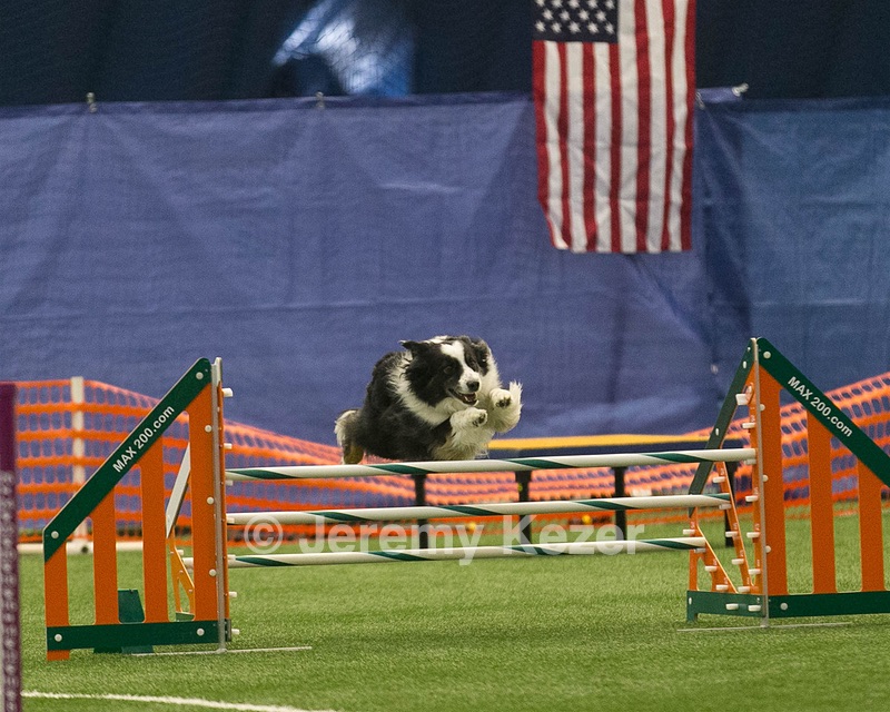 20150321-LEAP-1029.jpg