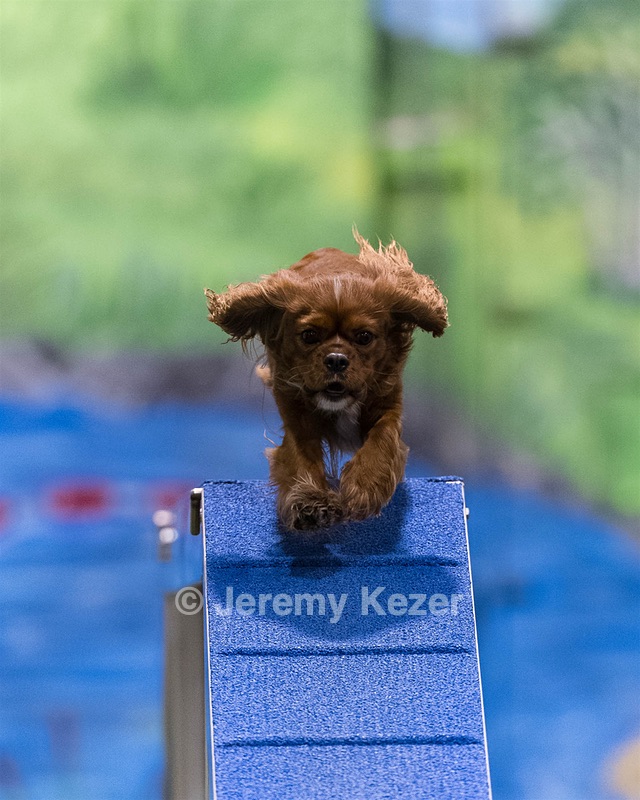 Velo Kenney
