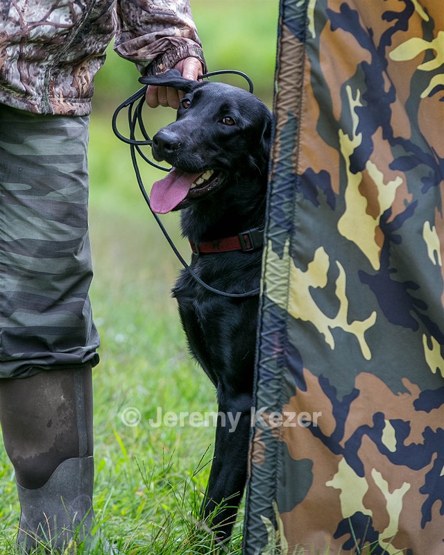 Phreeze Cawood