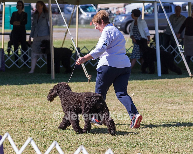 34 - LANDACRE'S NORDIC PIPER RN DJ