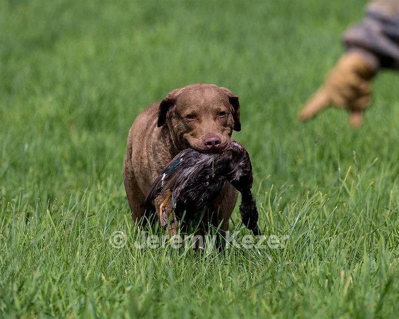 Hunter Law
