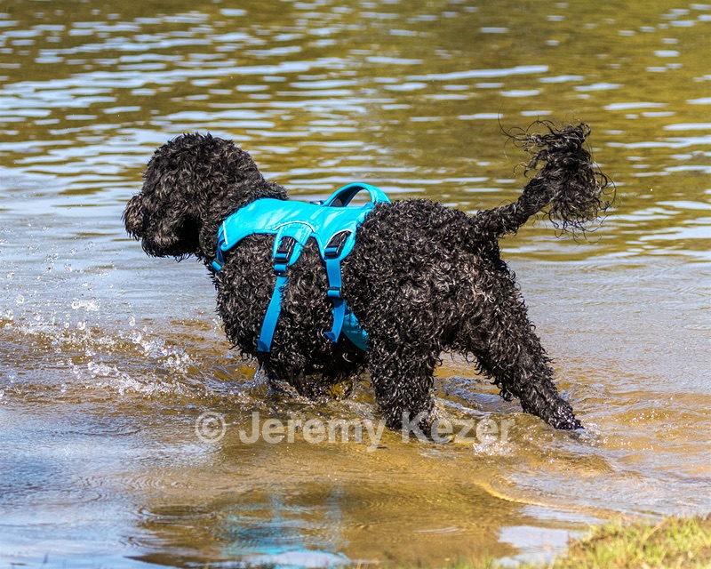 Fenwick Janet