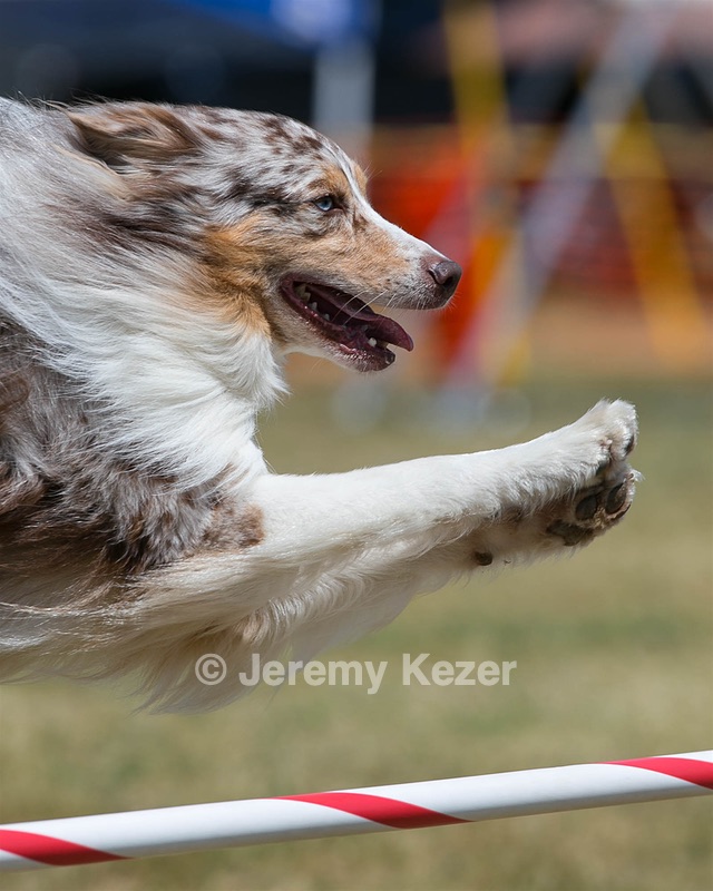 20150613-CCKC-0076.jpg