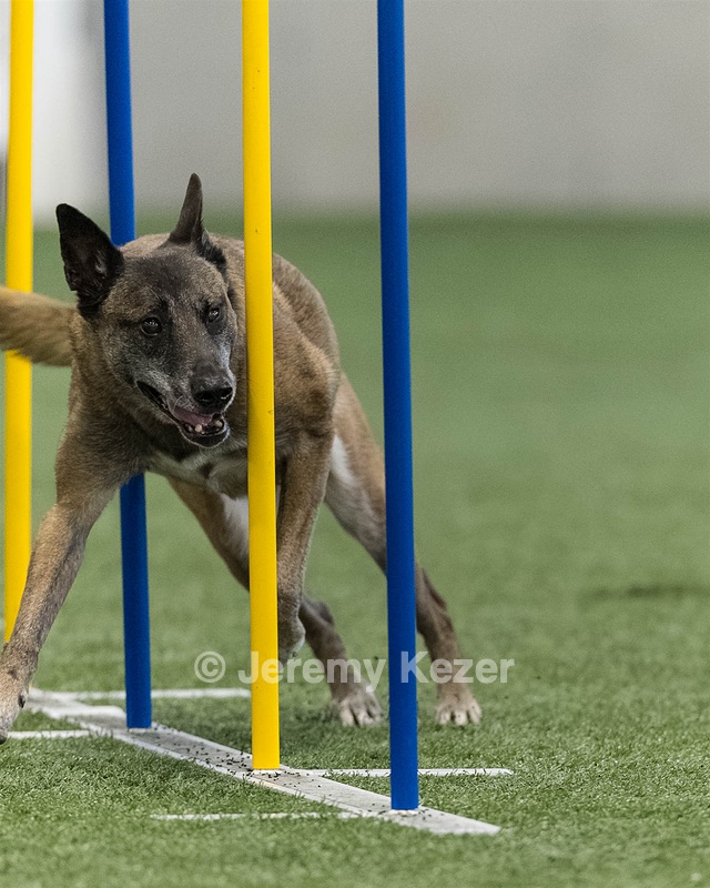 Lazer Savoie