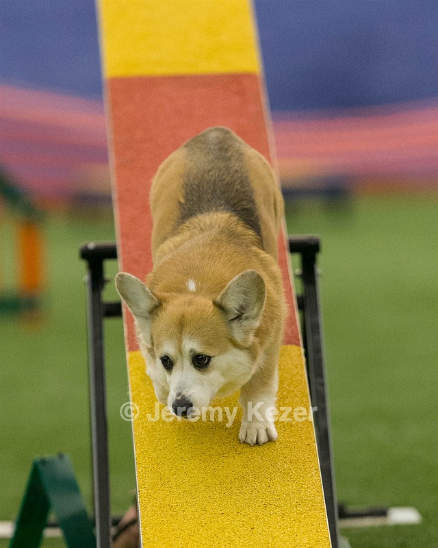 20150321-LEAP-1800.jpg