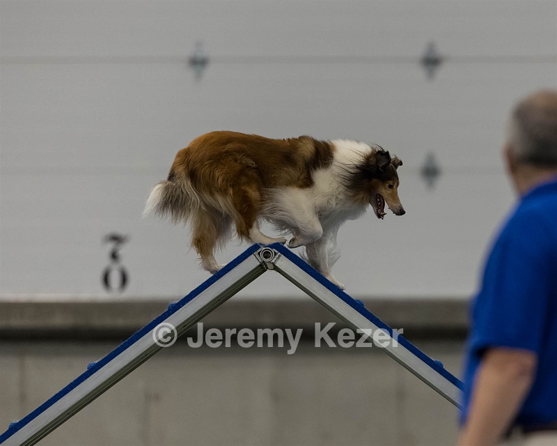 Relay Spooner