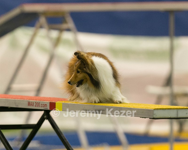 20150321-LEAP-1624.jpg