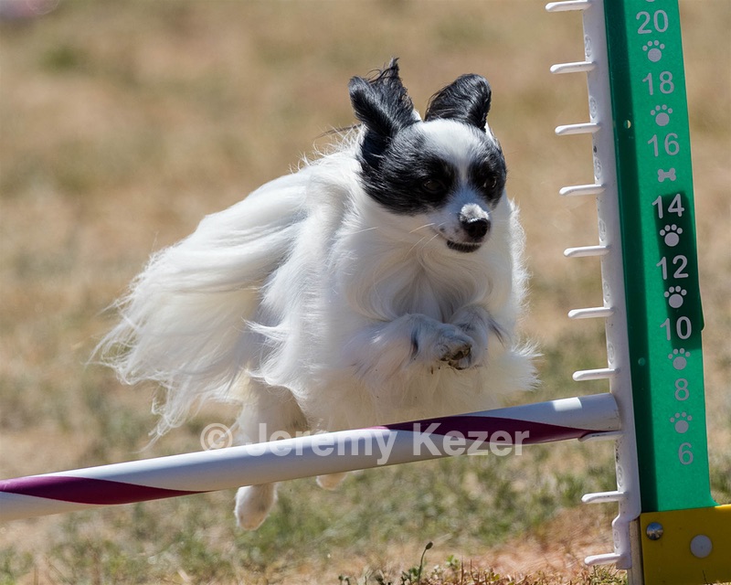 20160618-CCKC-2003.jpg