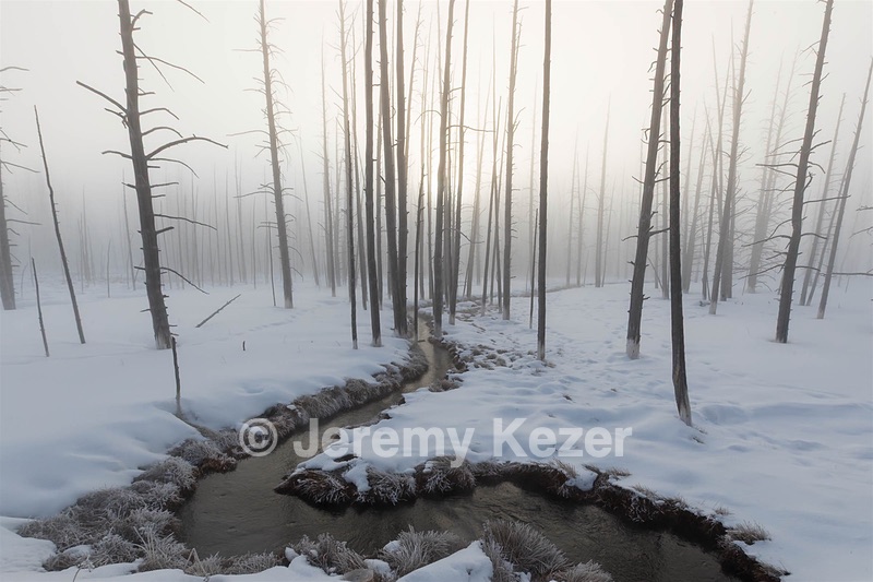 Yellowstone National Park, Montana