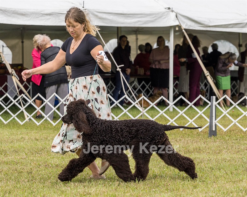 24 - POOLE'S IDE MODERN LOVE CGC (Remi)