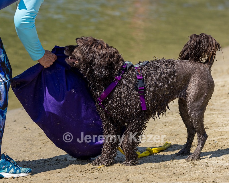 Jeepers Simmons