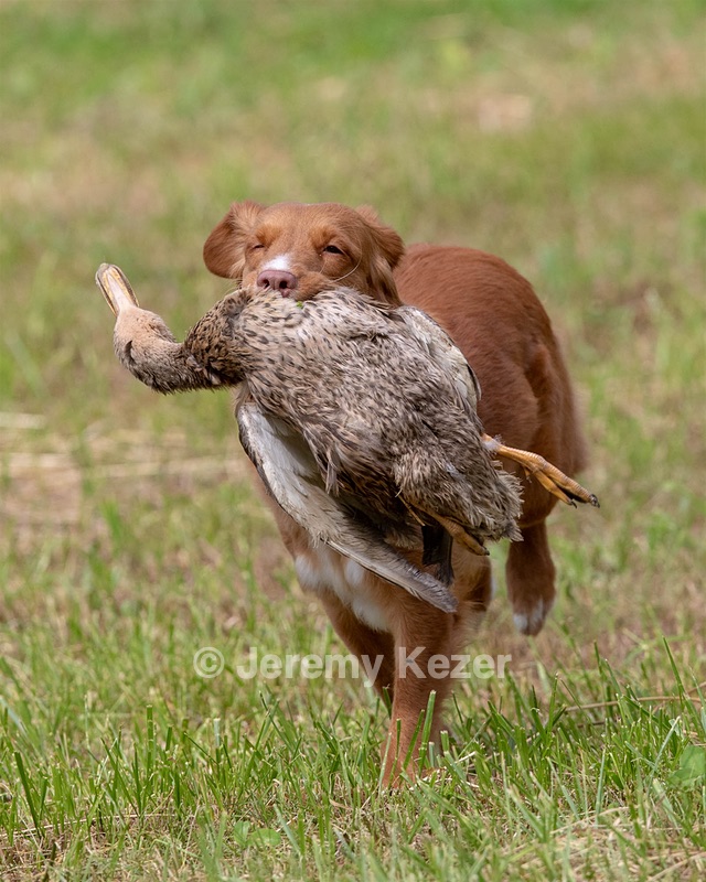 Emma Kurth