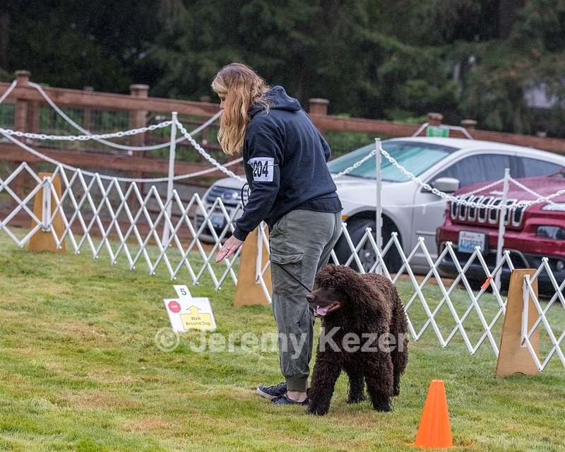 2204 - GCH CH BREKKON'S FIRST MARK CGC