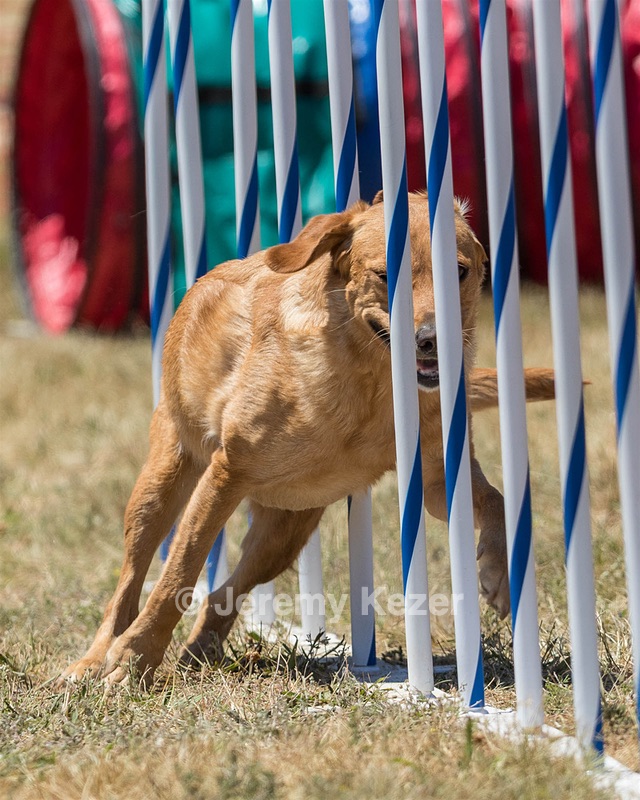 20160618-CCKC-1500.jpg