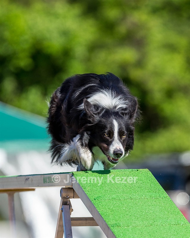20160618-CCKC-0192.jpg