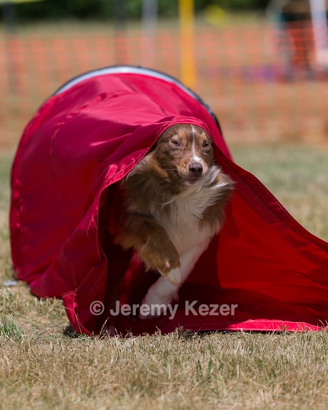 20150613-CCKC-0191.jpg