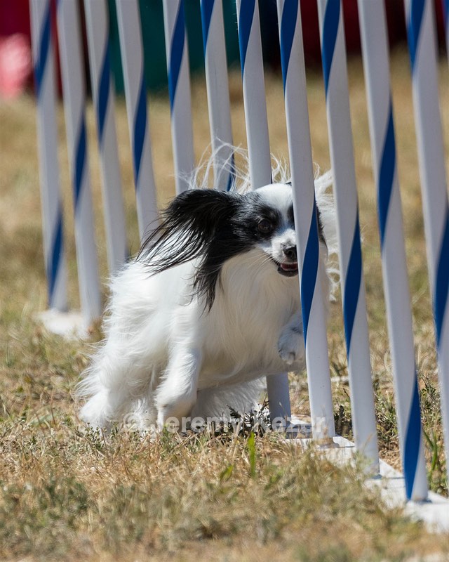 20160618-CCKC-2007.jpg