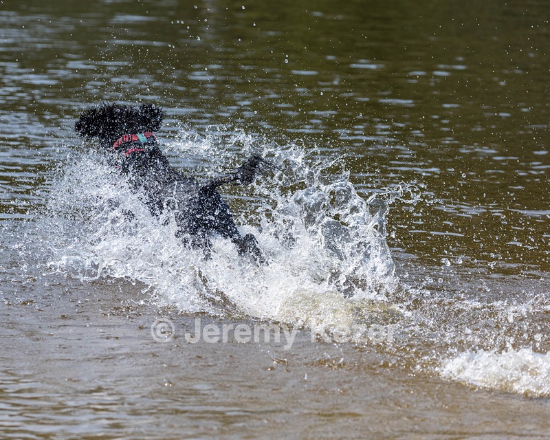 Rio Peter