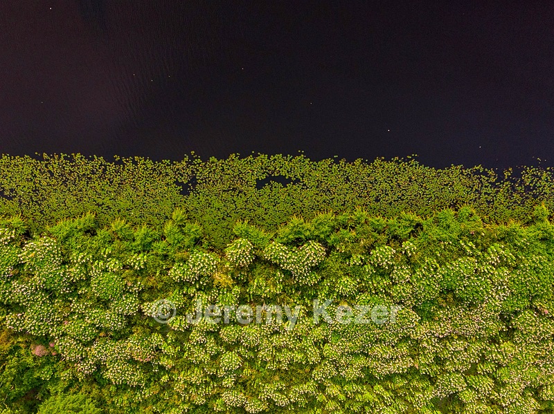 Concord River, Lowell, Massachusetts