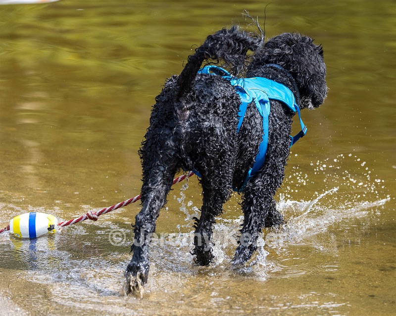 Fenwick Kutner