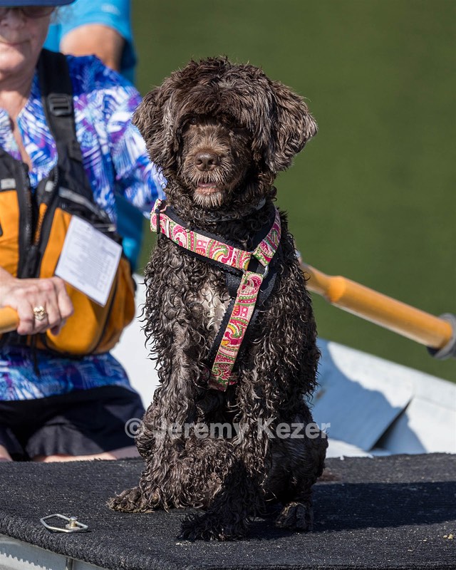 Tootsie Totten