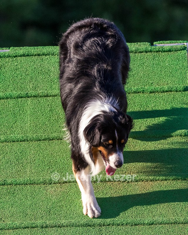 Kona Destremps