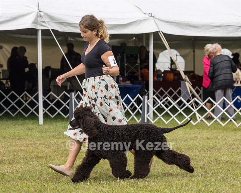 24 - POOLE'S IDE MODERN LOVE CGC (Remi)
