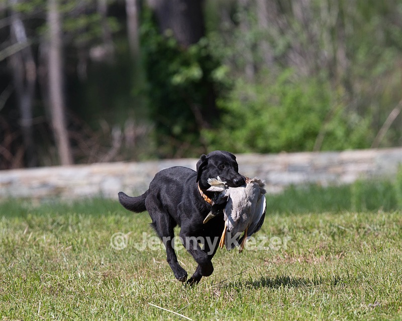 20130601-SHRL-0404.jpg