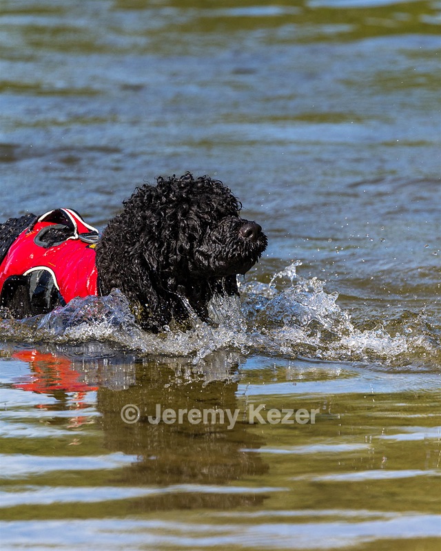 Breeze Holden