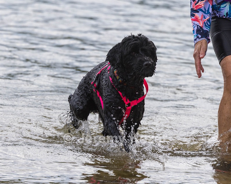 Lucy McNelly