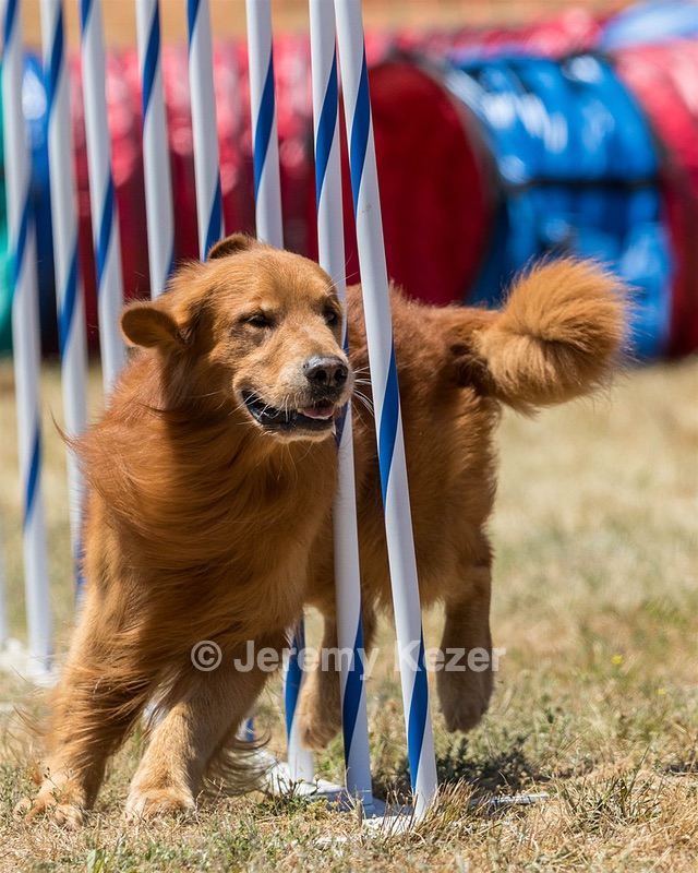 20160618-CCKC-1491.jpg
