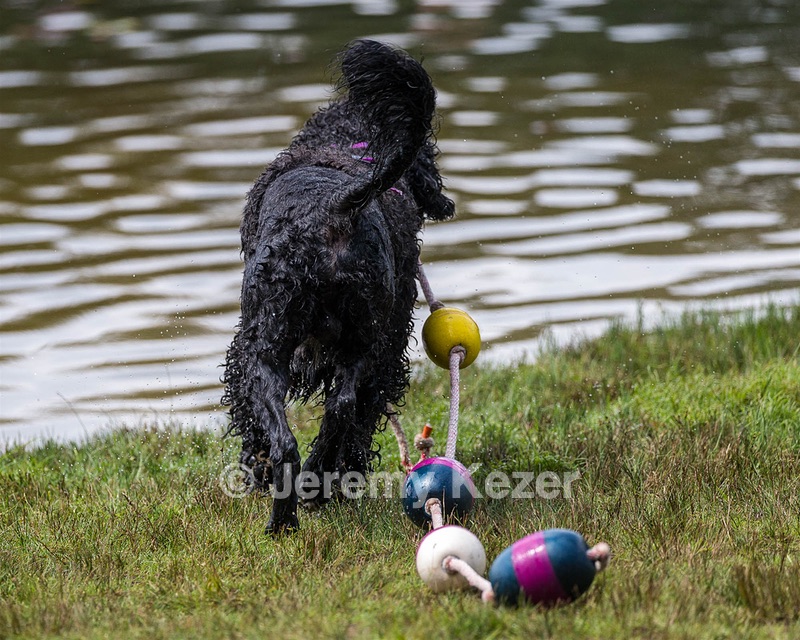 "Perry" & Diana