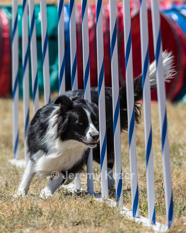 20160618-CCKC-1695.jpg