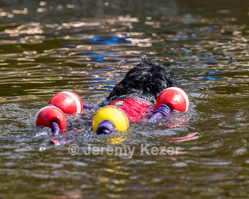 "Scully" and Kari
