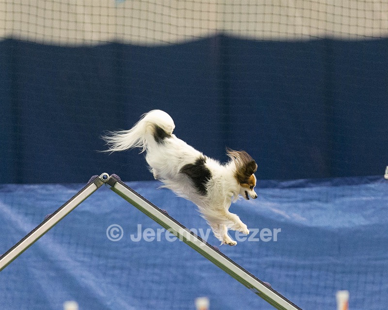 20150321-LEAP-1643.jpg