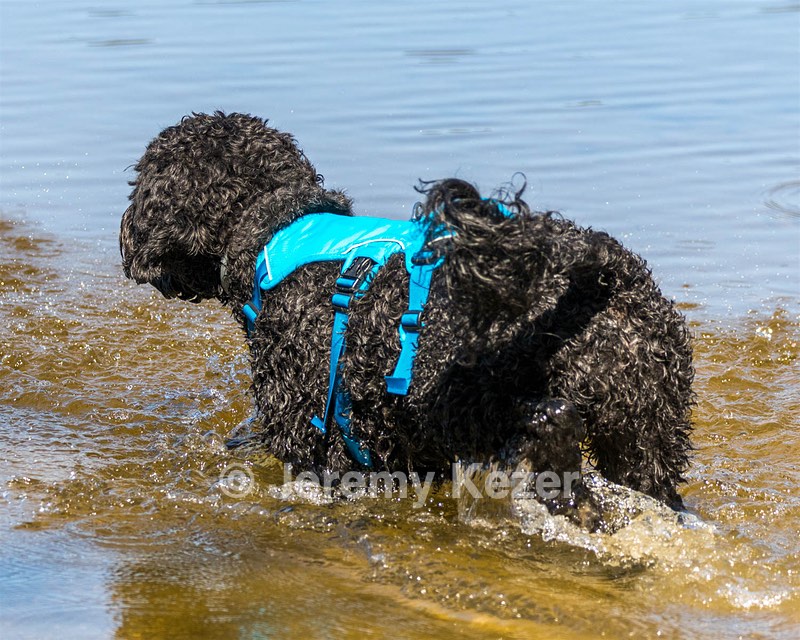 Fenwick Janet