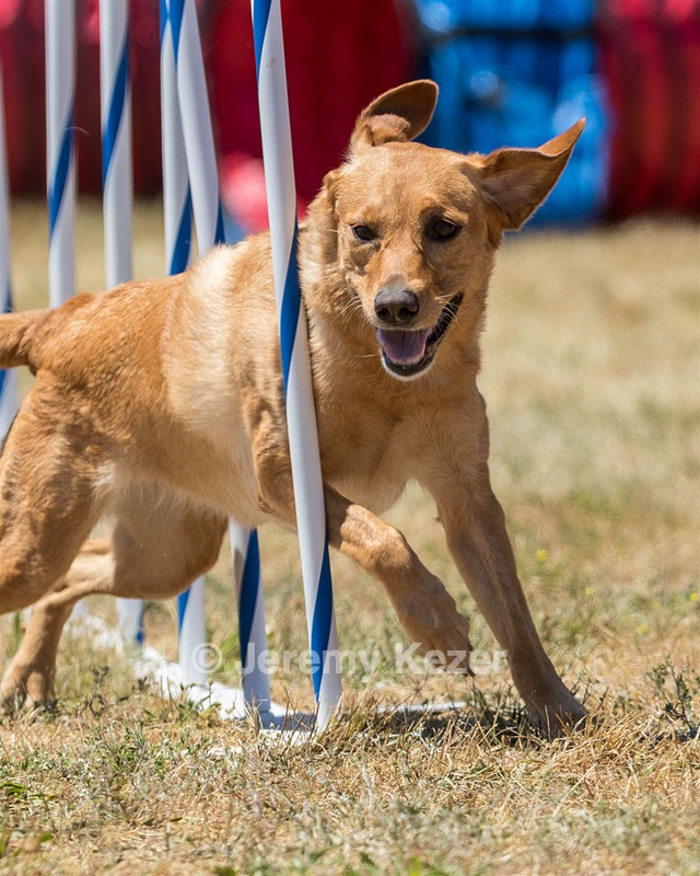 20160618-CCKC-1509.jpg