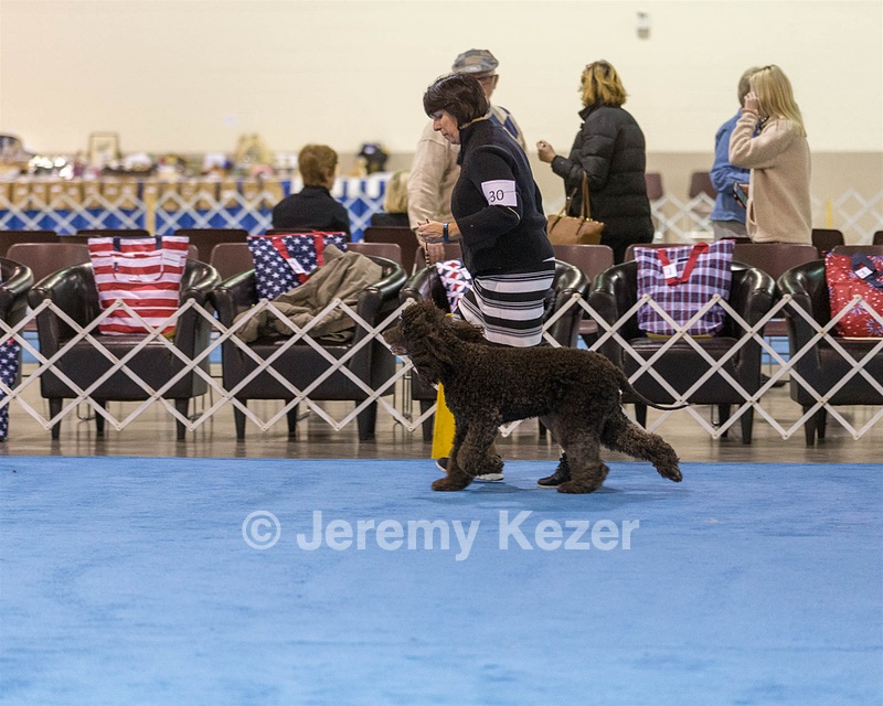 30 - GCH CH Chantico's Spirit In The Surf JH CD RA OA OAJ  NF (Selchie)