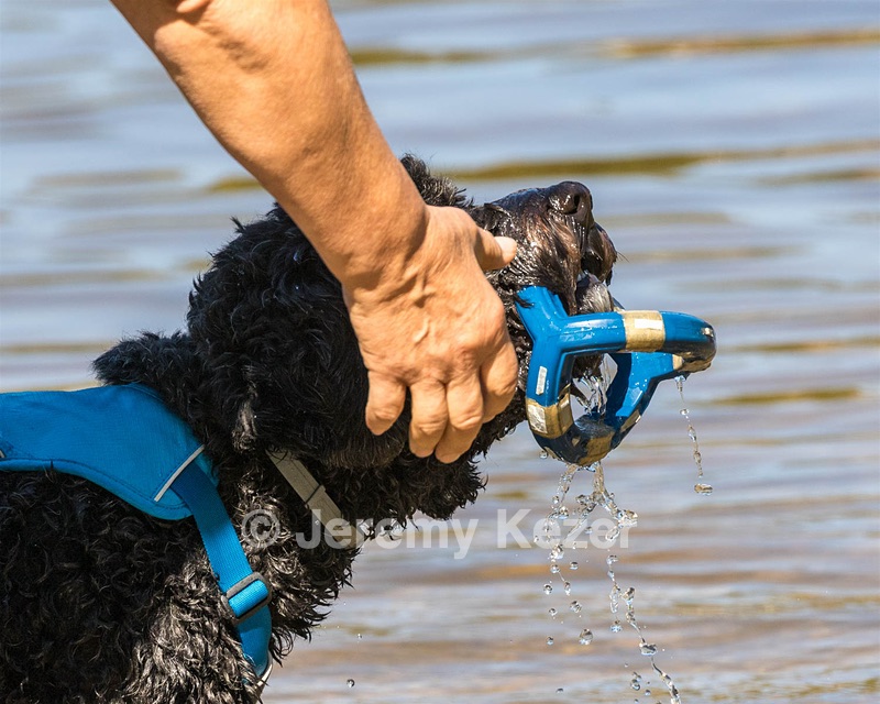 Fenwick Janet