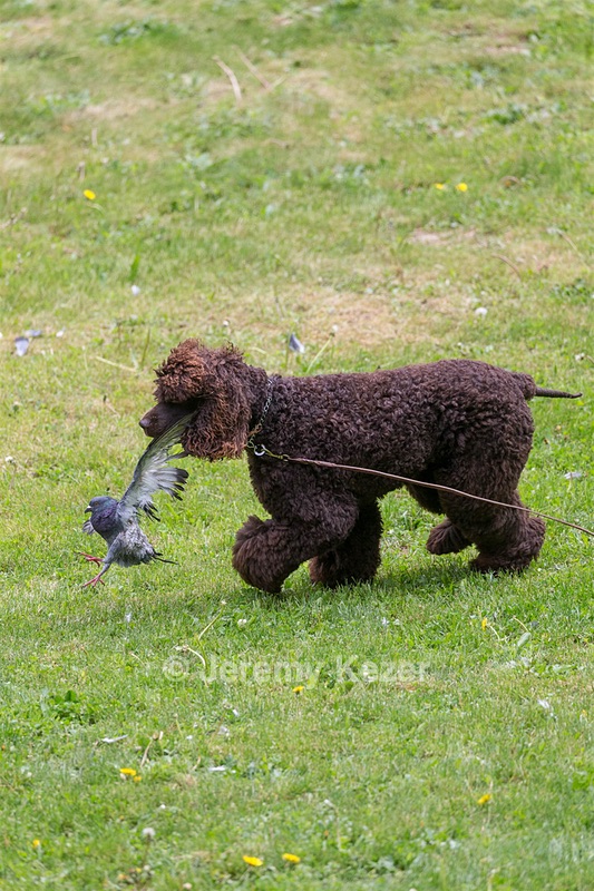 20190512-BD-0034.jpg