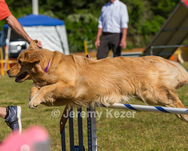20190615-CCKC-0151.jpg