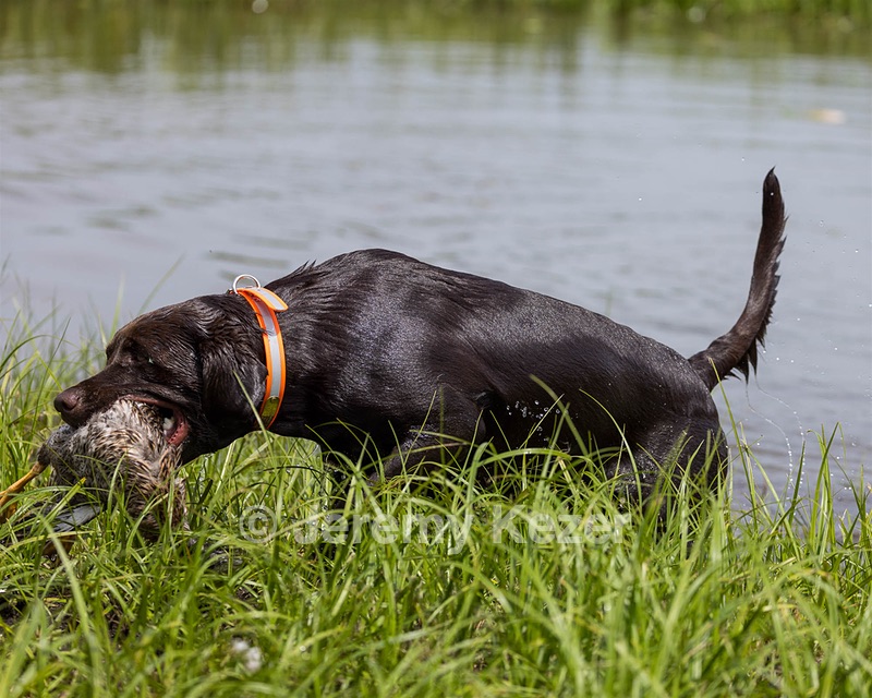 Drake Coppola