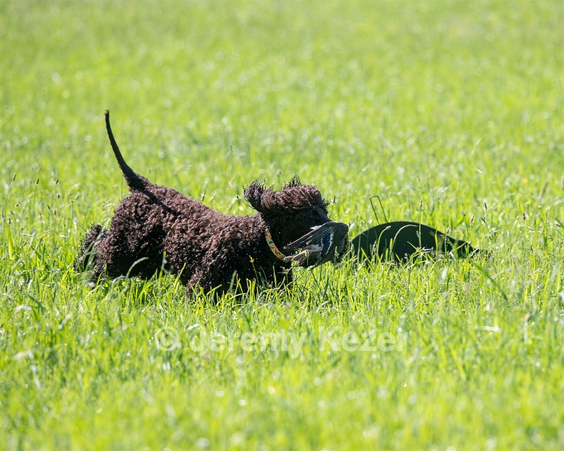 Ghillie Kezer