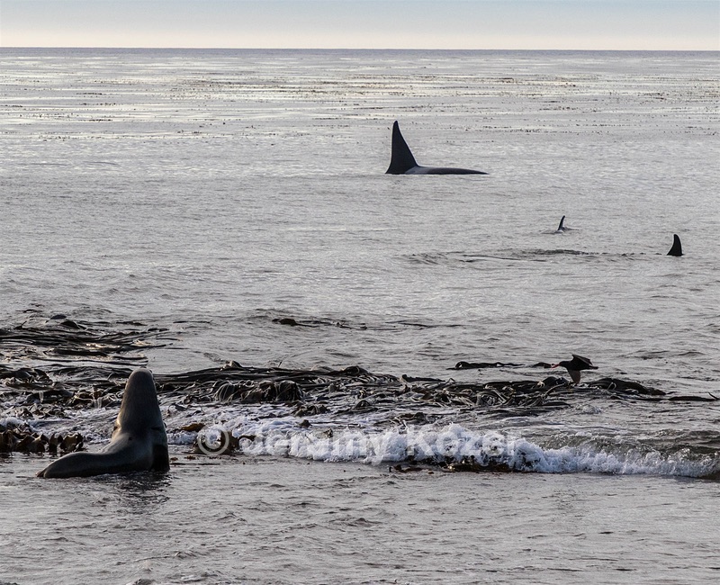 20191218-0247.jpg