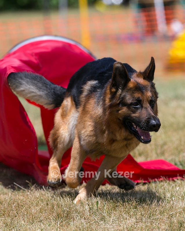 20150613-CCKC-0304.jpg